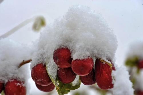 微信图片_20211109100907