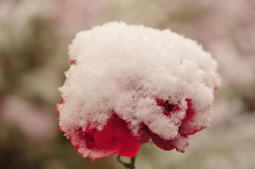 微信图片_20211109100916