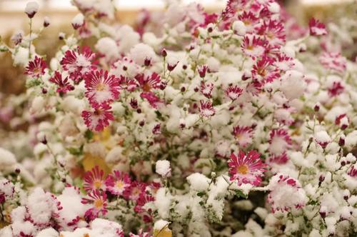 微信图片_20211109100926