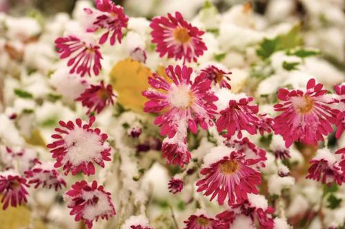 微信图片_20211109100923