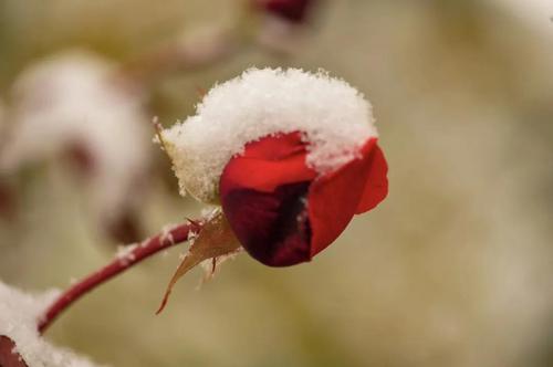 微信图片_20211109100918