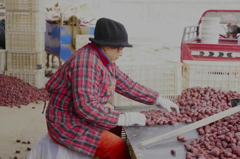 微信图片_20211115161205