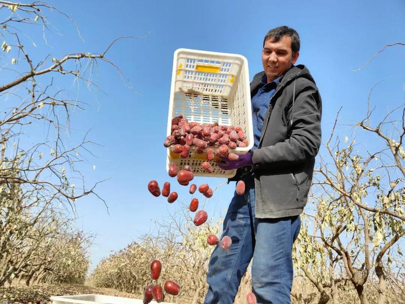 微信图片_20211115161209