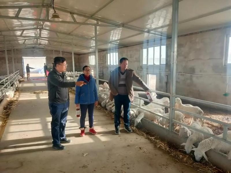 微信图片_20211117154115