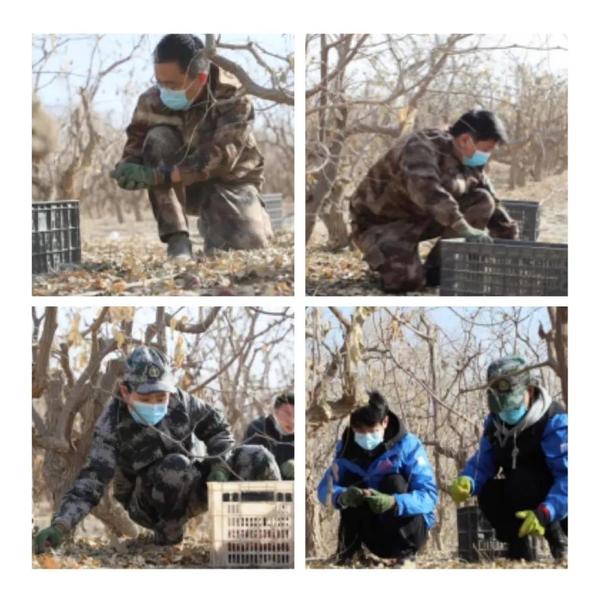 微信图片_20211130103332