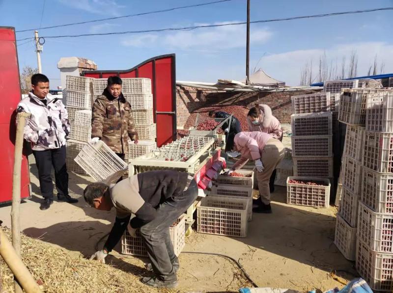 微信图片_20211208103042