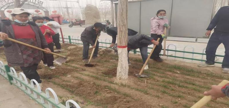 微信图片_20211215101543