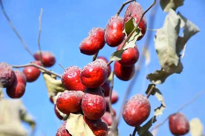 微信图片_20220113130252