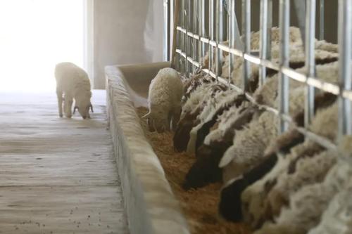 微信图片_20220214191052