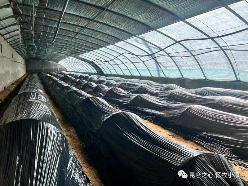 微信图片_20220217154519