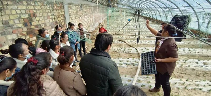 微信图片_20220228153951