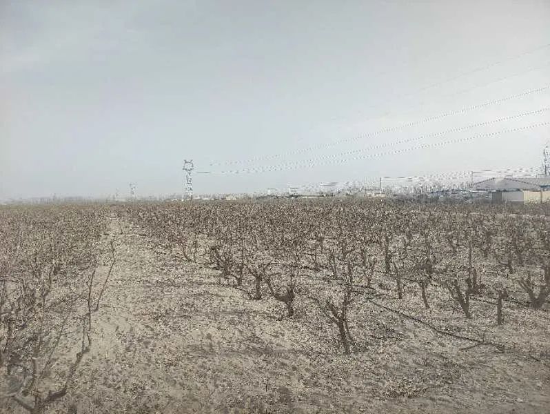 微信图片_20220228154017