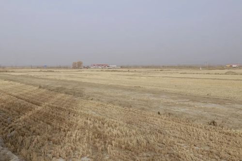 微信图片_20220228154237