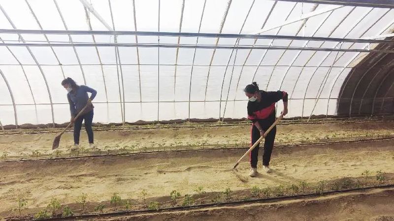 微信图片_20220303101813