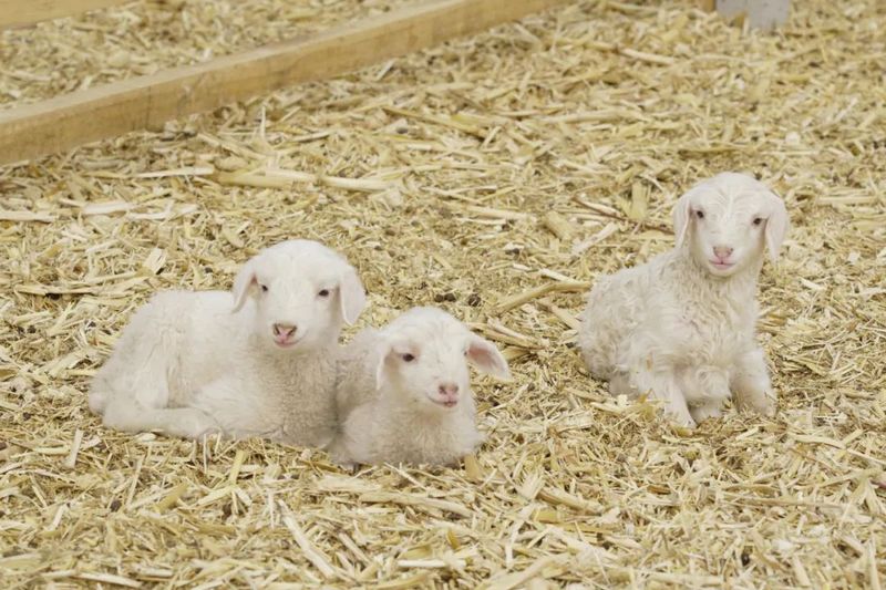 微信图片_20220303104012