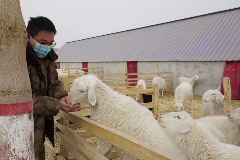 微信图片_20220303104020