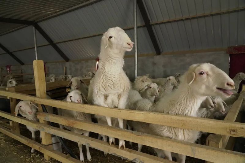 微信图片_20220303104024