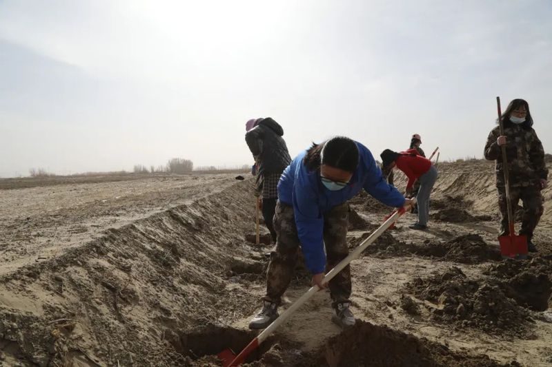 微信图片_20220315111913