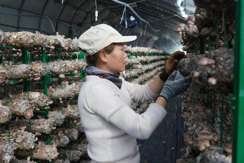 微信图片_20220316105642