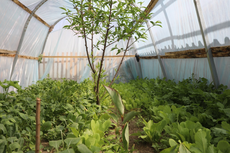 微信图片_20220321104250