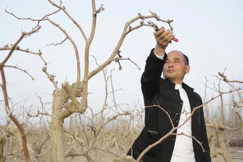 微信图片_20220321104608