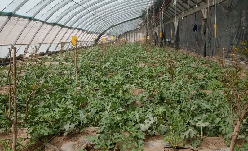 微信图片_20220419103813