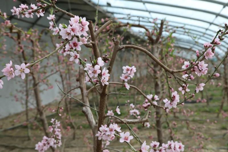 微信图片_20220420105132