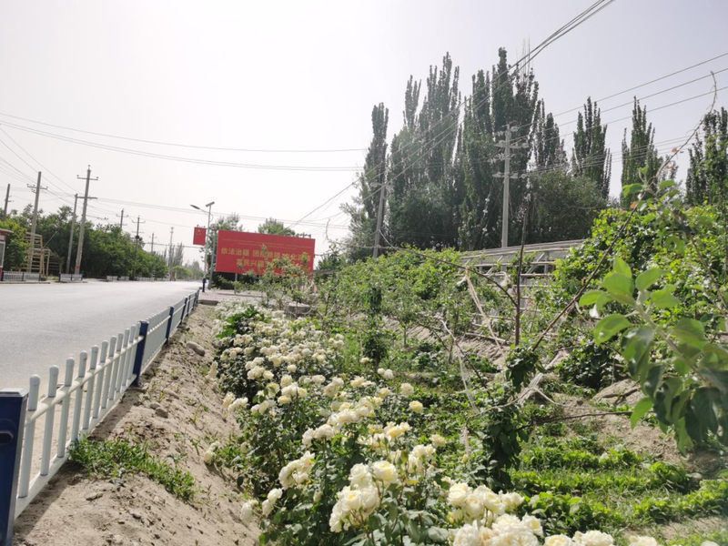 微信图片_20220512101846