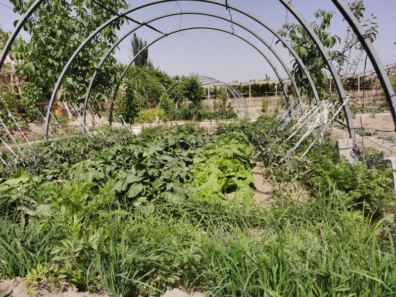 微信图片_20220512101852