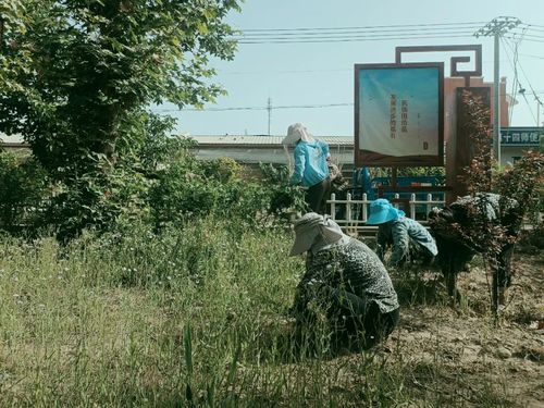 微信图片_20220513102747