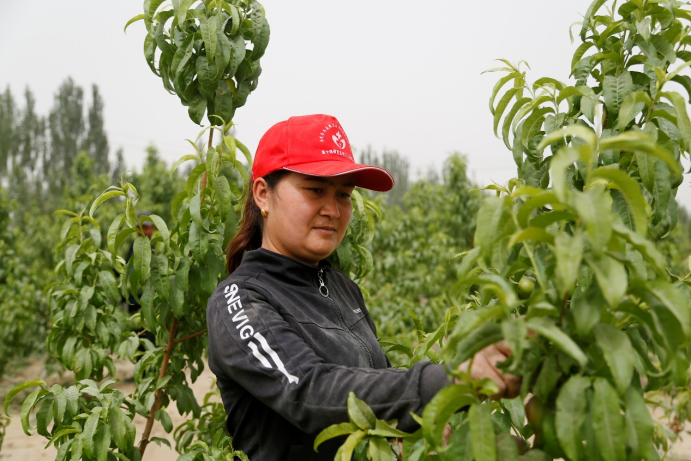 微信图片_20220516104017