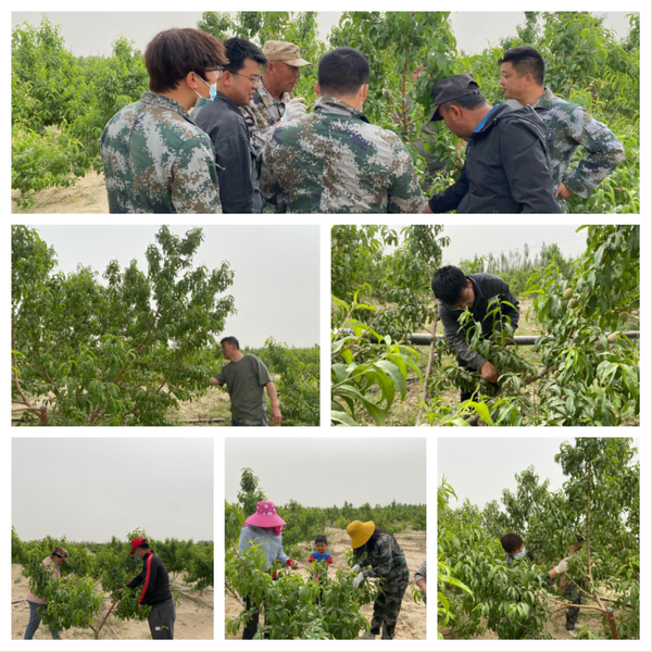 微信图片_20220517102000