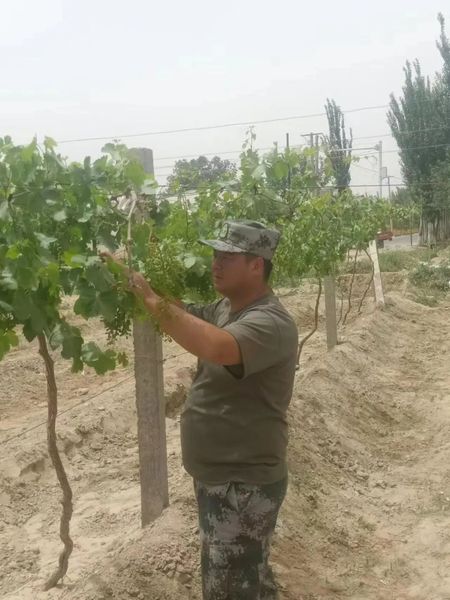 微信图片_20220530103120