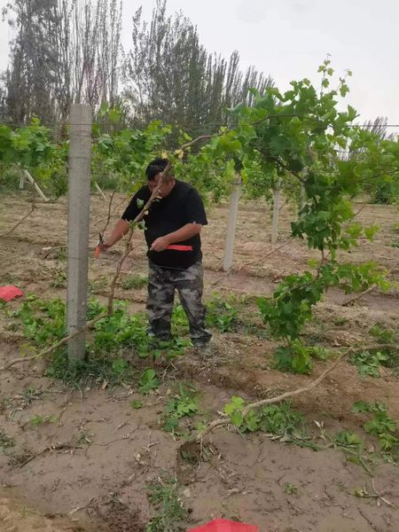 微信图片_20220530103117