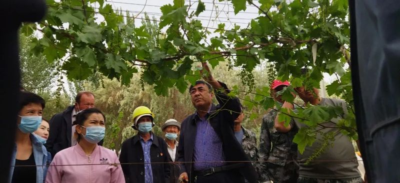 微信图片_20220530103114