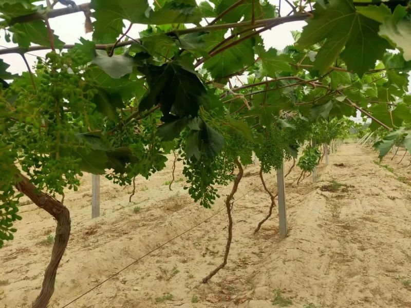 微信图片_20220530103111