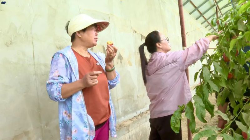 微信图片_20220531103916
