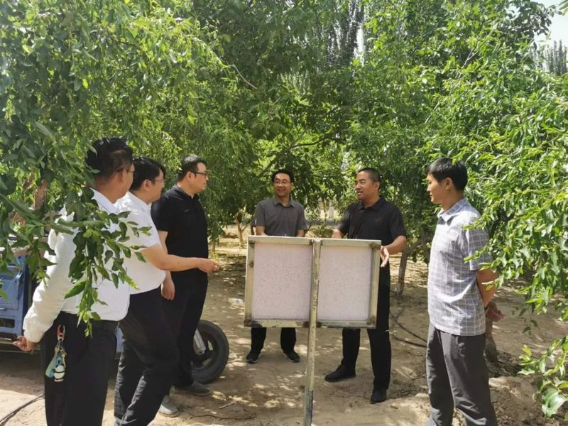 微信图片_20220607102648