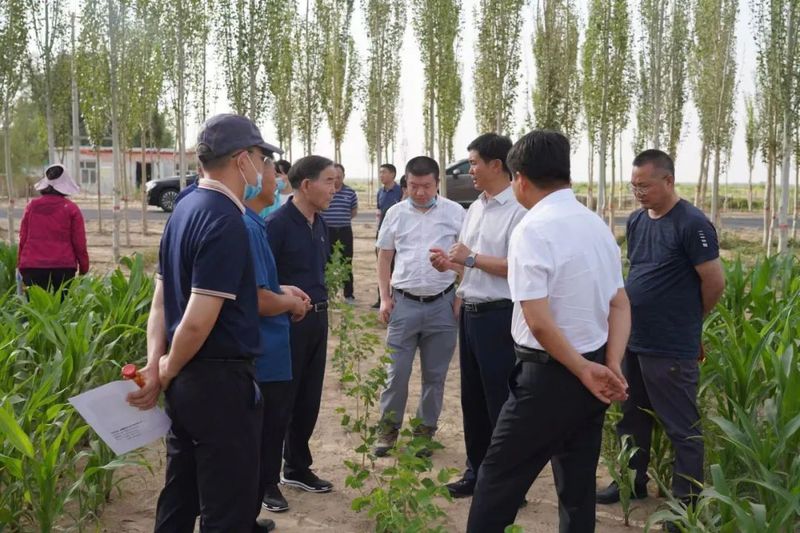 微信图片_20220628104508