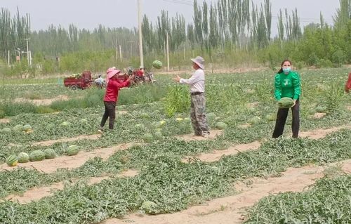 微信图片_20220628105054 微信图片_20220628105054