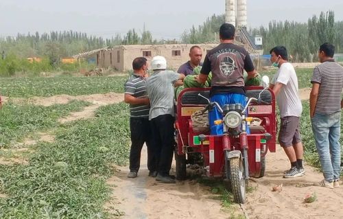 微信图片_20220628105051 微信图片_20220628105051