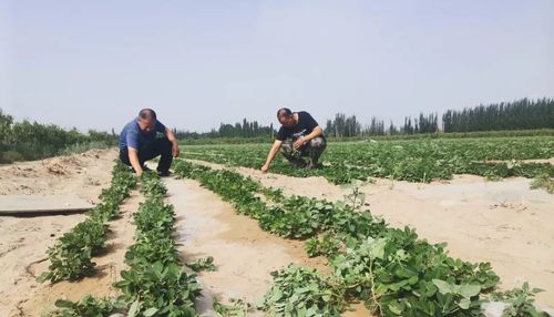 微信图片_20220701112642