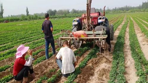 微信图片_20220701112645