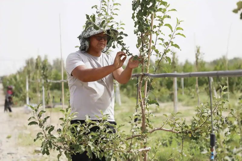 微信图片_20220708101628