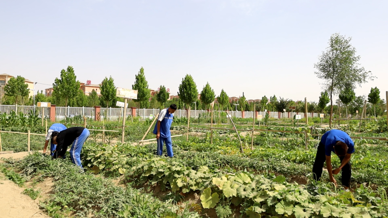 微信图片_20220708102026