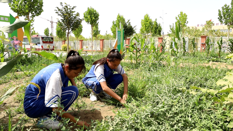 微信图片_20220708102024