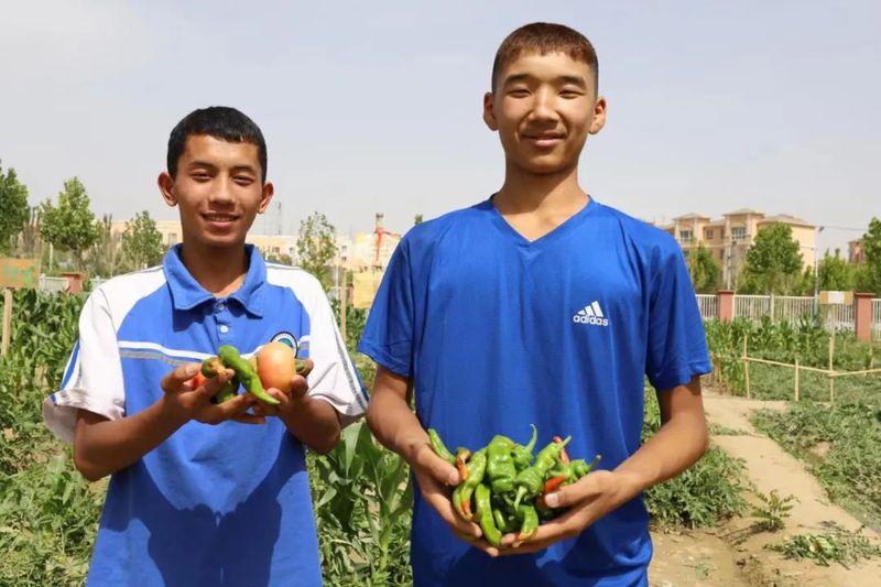 微信图片_20220708102029