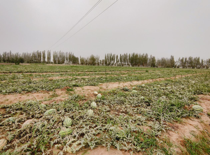 微信图片_20220803165828