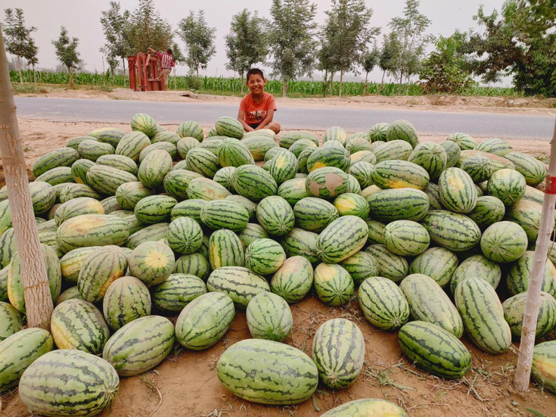 微信图片_20220803165823