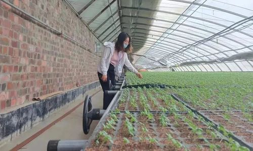 微信图片_20220817160923